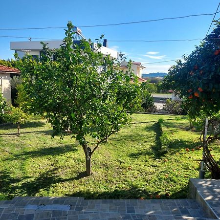 Anastasia'S Garden House เอียลิซอส ภายนอก รูปภาพ