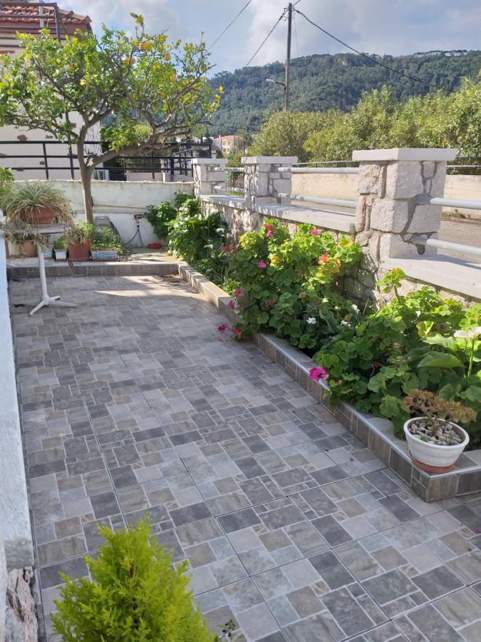 Anastasia'S Garden House เอียลิซอส ภายนอก รูปภาพ