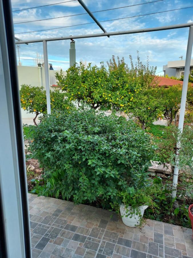 Anastasia'S Garden House เอียลิซอส ภายนอก รูปภาพ