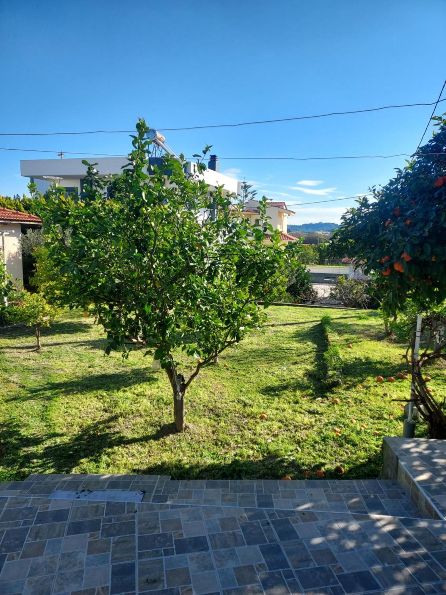Anastasia'S Garden House เอียลิซอส ภายนอก รูปภาพ