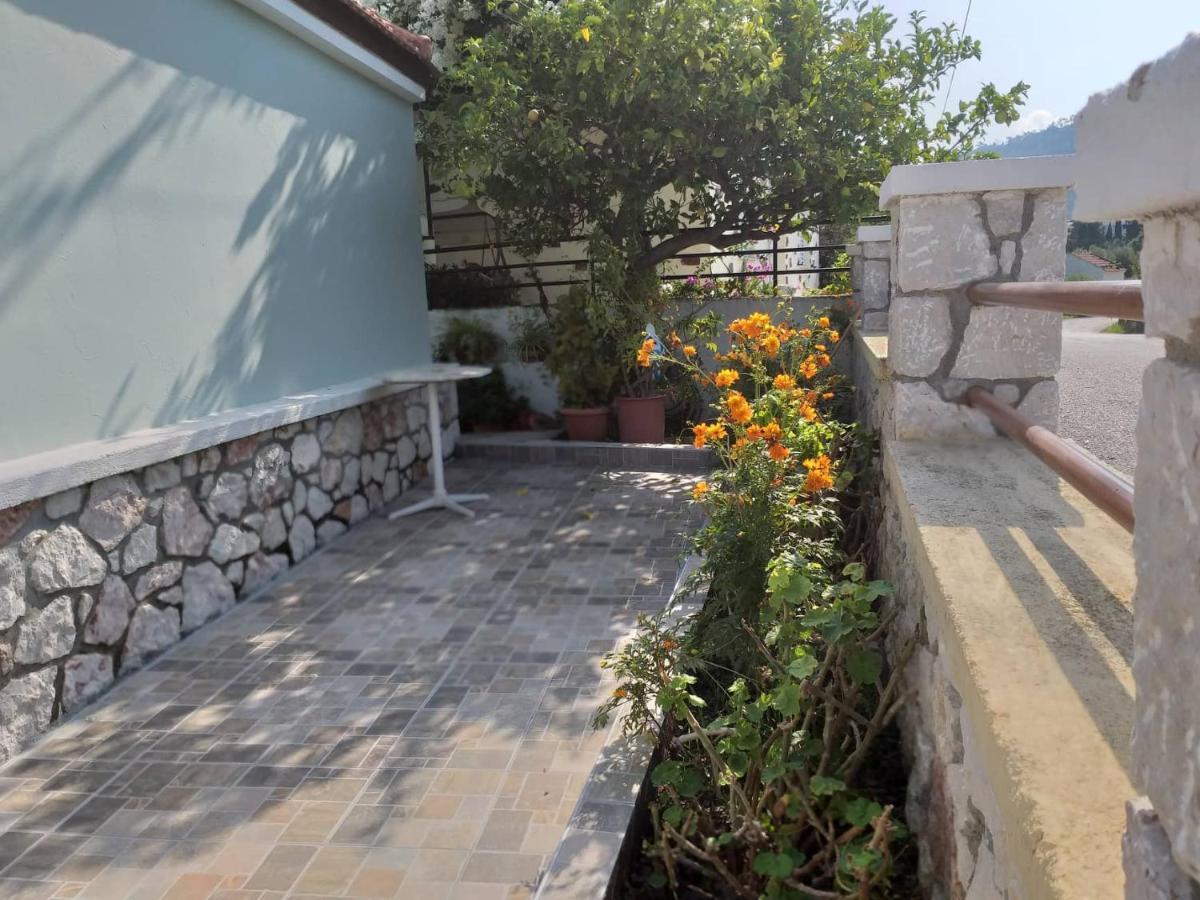 Anastasia'S Garden House เอียลิซอส ภายนอก รูปภาพ